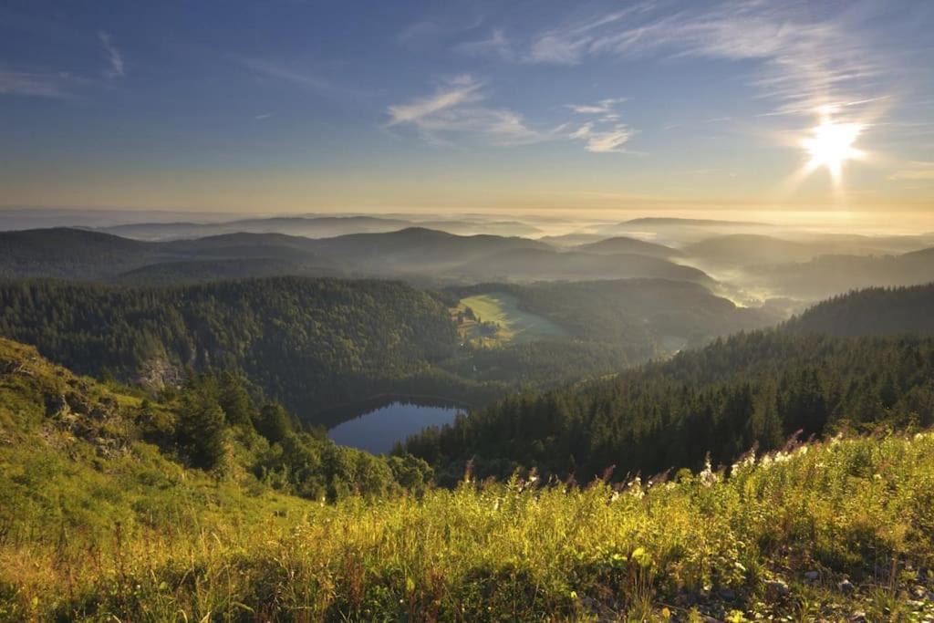 Ferienwohnung Niki Titisee-Neustadt Luaran gambar