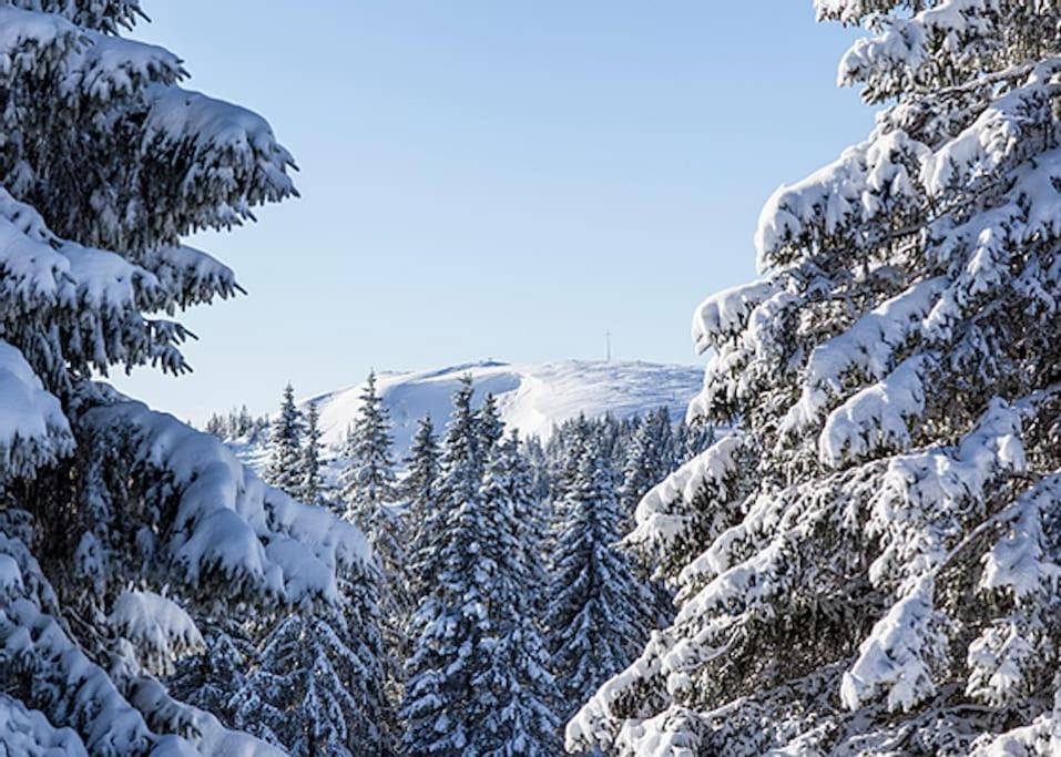 Ferienwohnung Niki Titisee-Neustadt Luaran gambar
