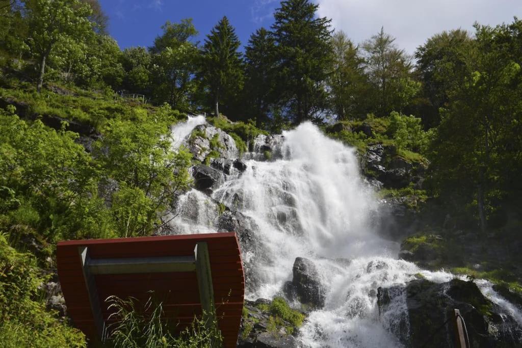 Ferienwohnung Niki Titisee-Neustadt Luaran gambar