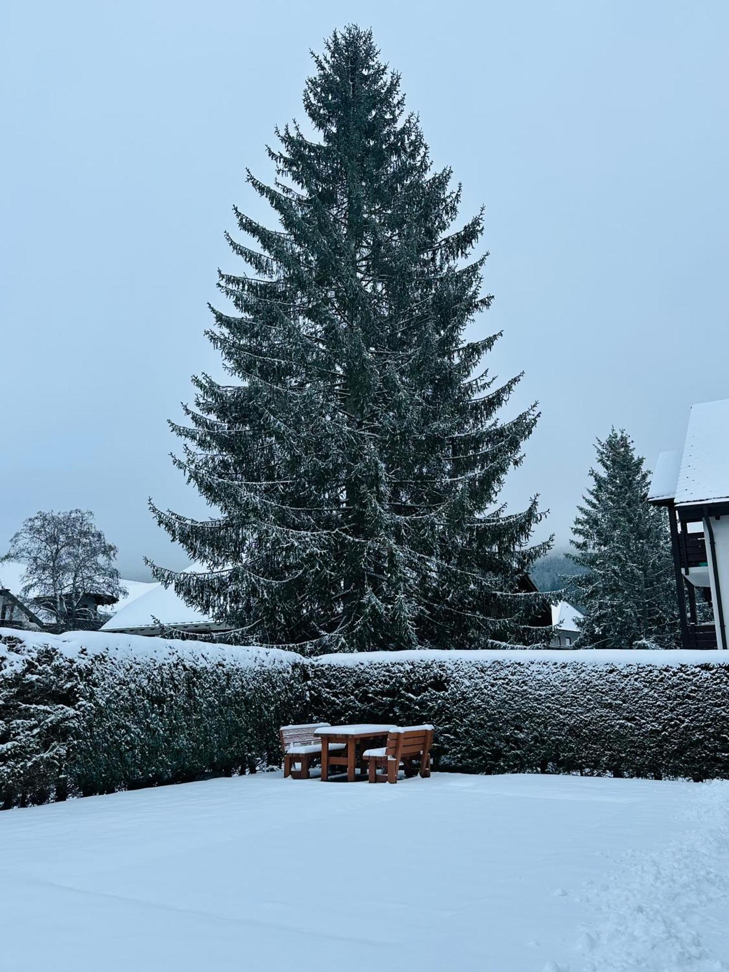 Ferienwohnung Niki Titisee-Neustadt Luaran gambar